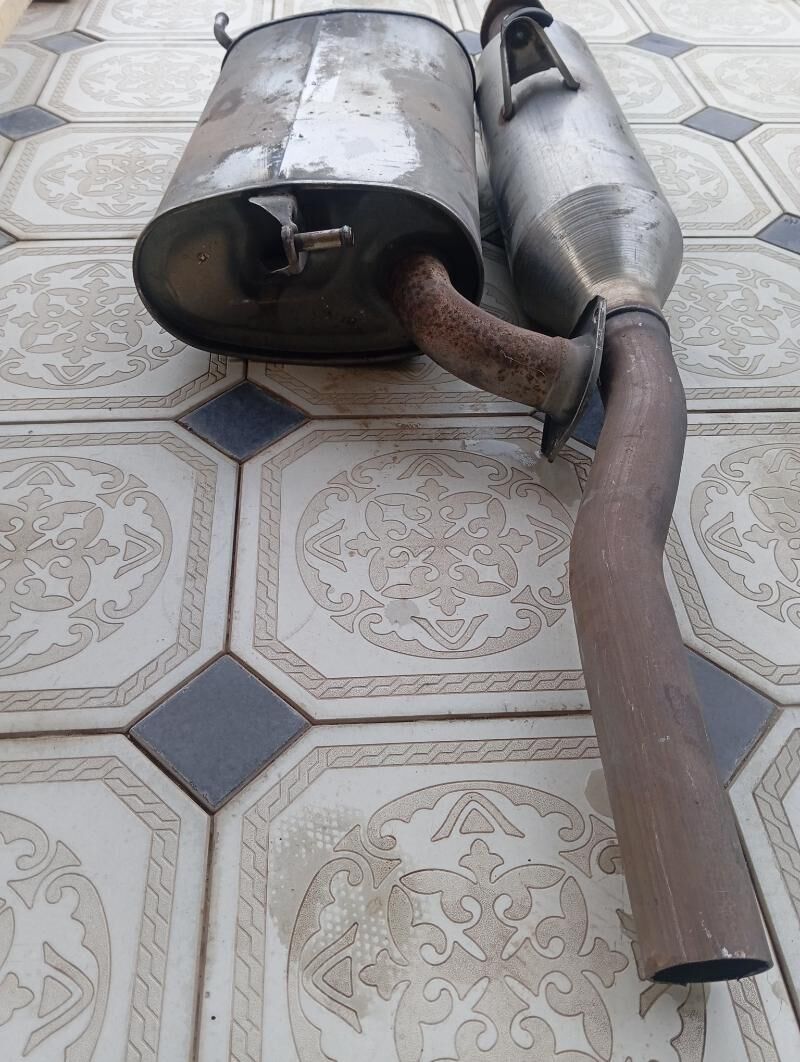 Gulşitir 300 TMT - Mary - img 1