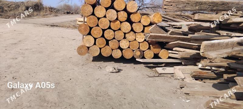 Agaç - Gurbansoltan Eje - img 1