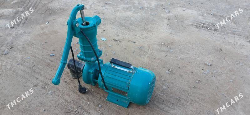 nasoz - Шабатский этрап - img 1