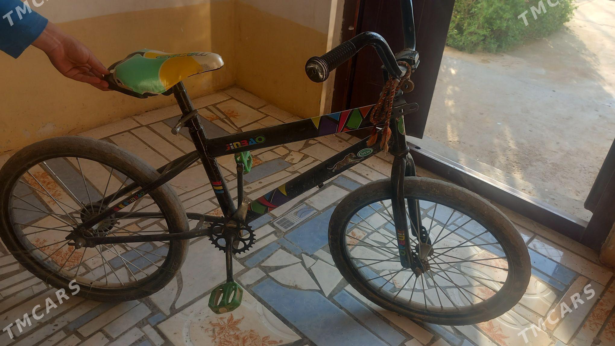 tigir - Änew - img 1