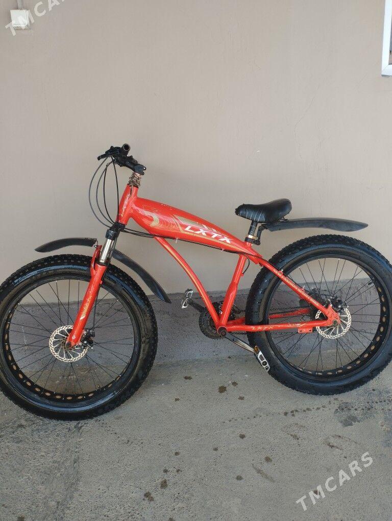 tigir - Gökdepe - img 1