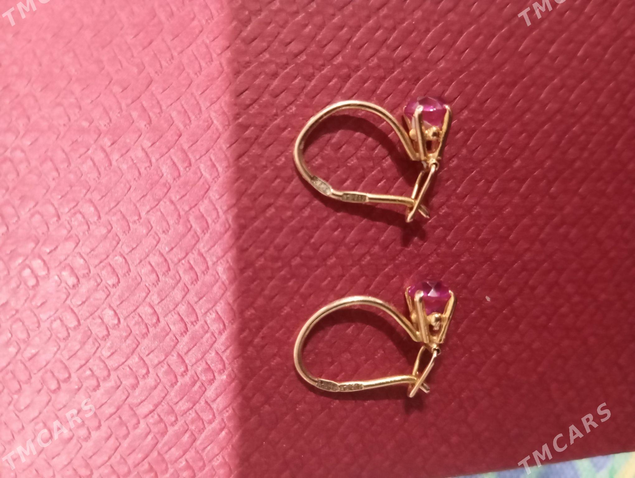 çaga gulakalka - Чоганлы - img 1