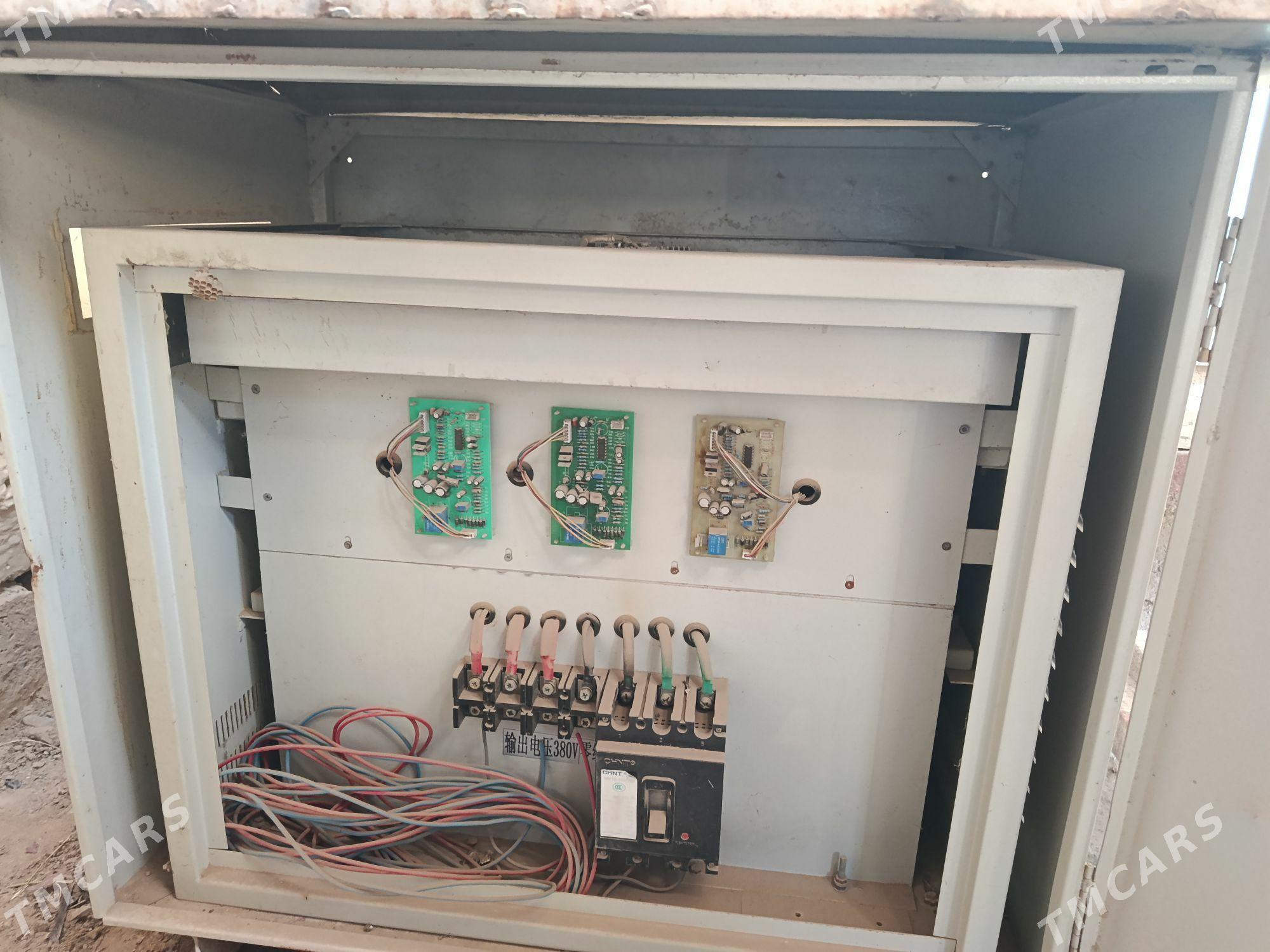 tok kopeltyan - Änew - img 1