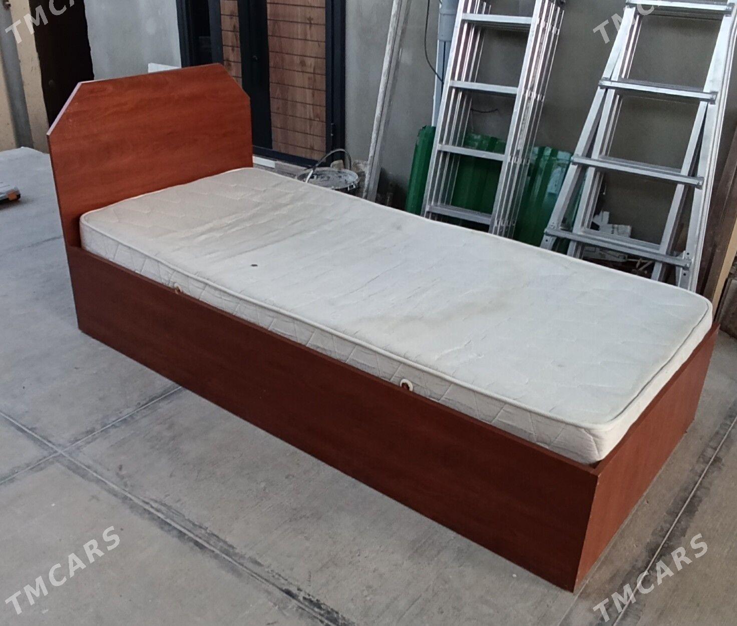 1 adamlyk krawat - Aşgabat - img 1