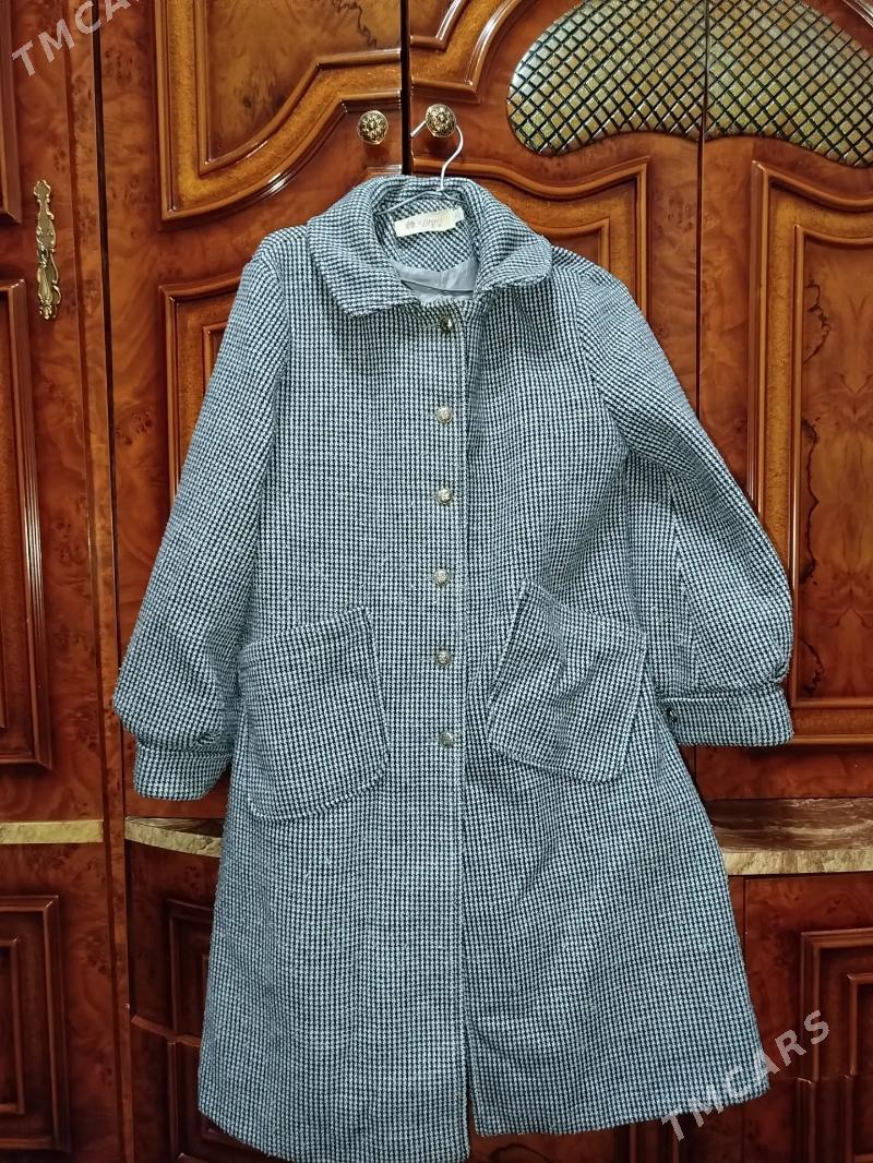 Paltolar - Türkmenabat - img 1