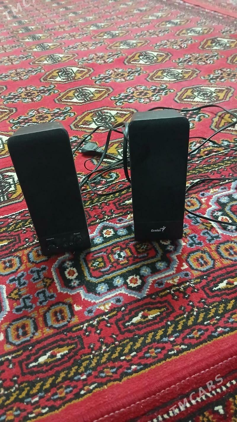 kalonka - Дашогуз - img 1