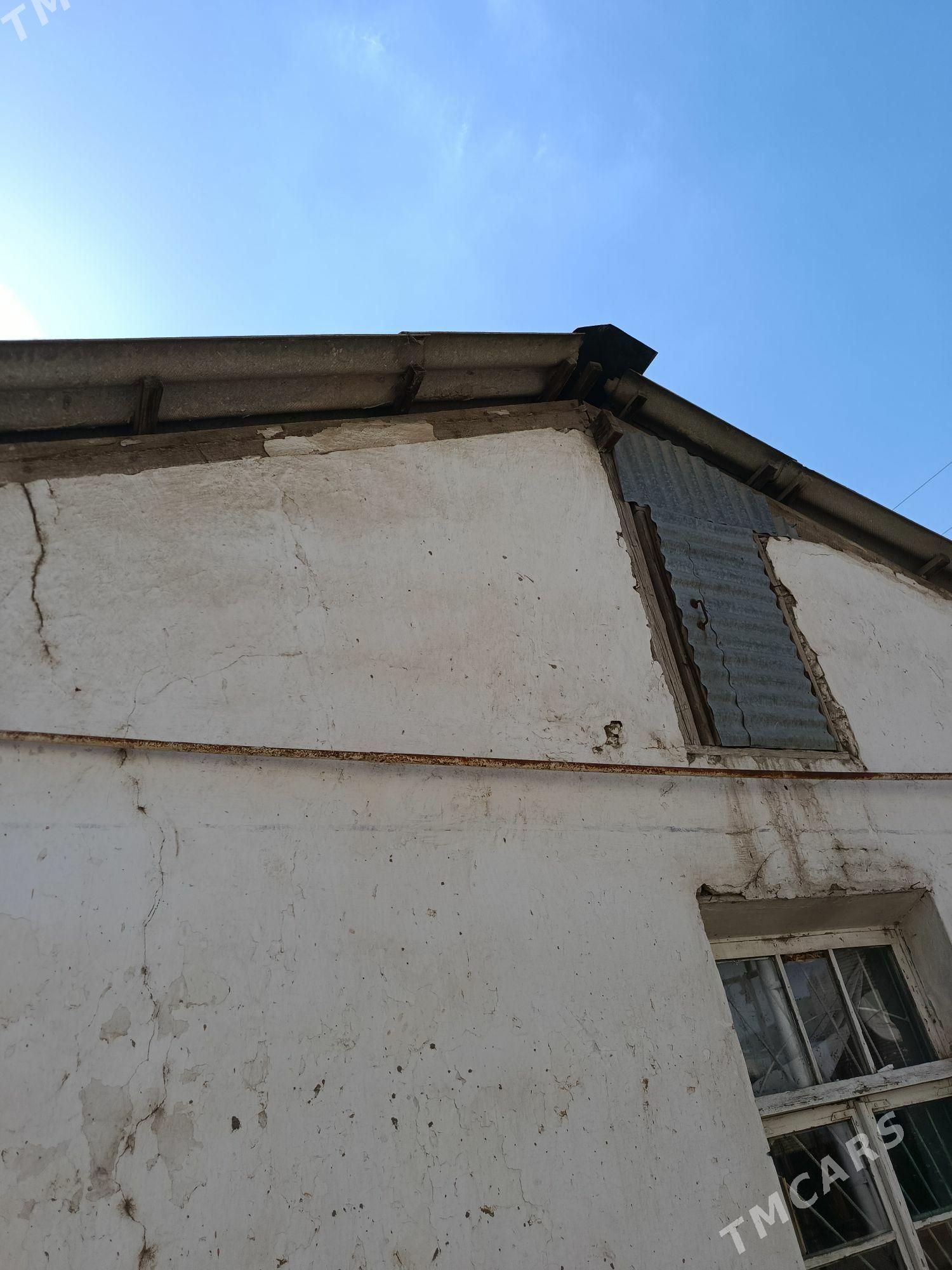 janda habarlasyp bolia - Mary - img 1