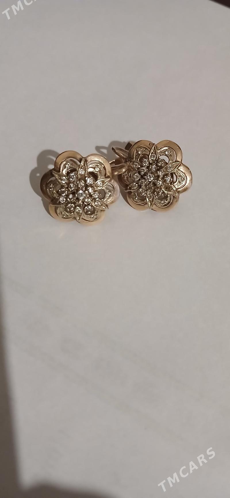 gyzyl gulakhalka - Büzmeýin - img 1