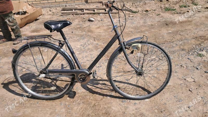 27 3 skor welik - Sakarçäge - img 1