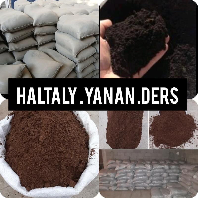 ELENEN YANAN HALTALY DERS MITI - Aşgabat - img 1