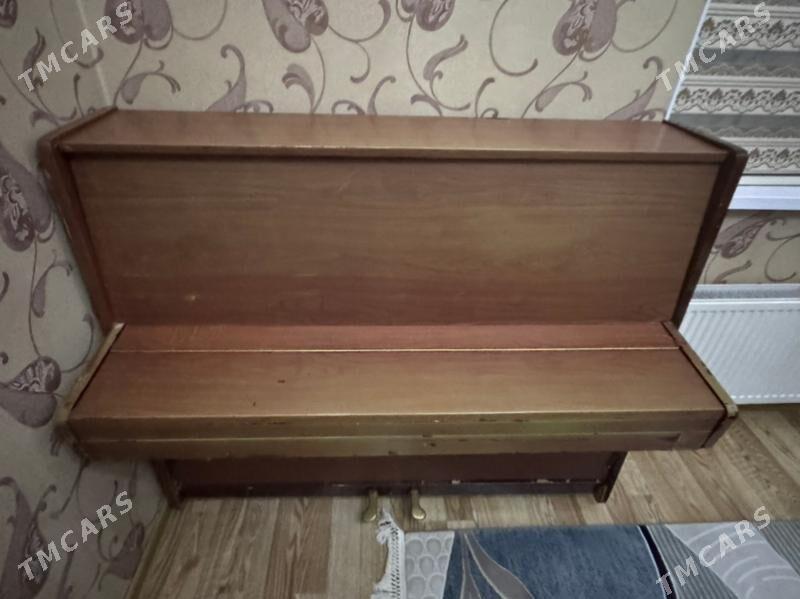 piyanino - Тязе заман - img 1