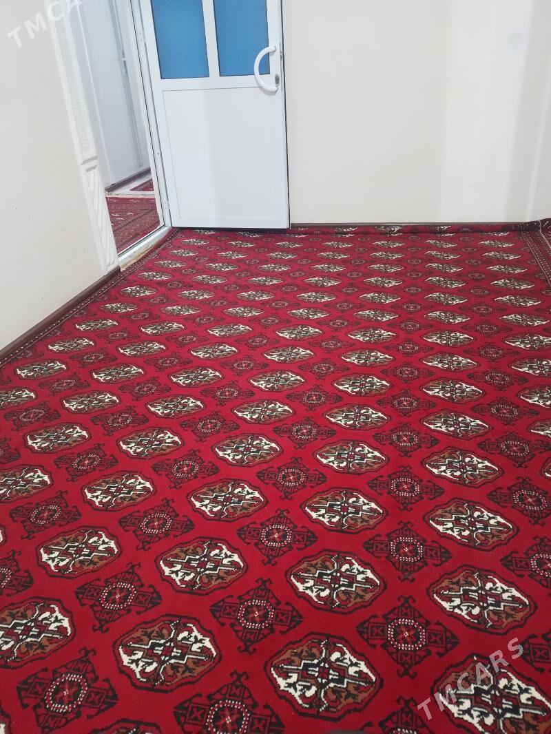 Haly - Туркменабат - img 1