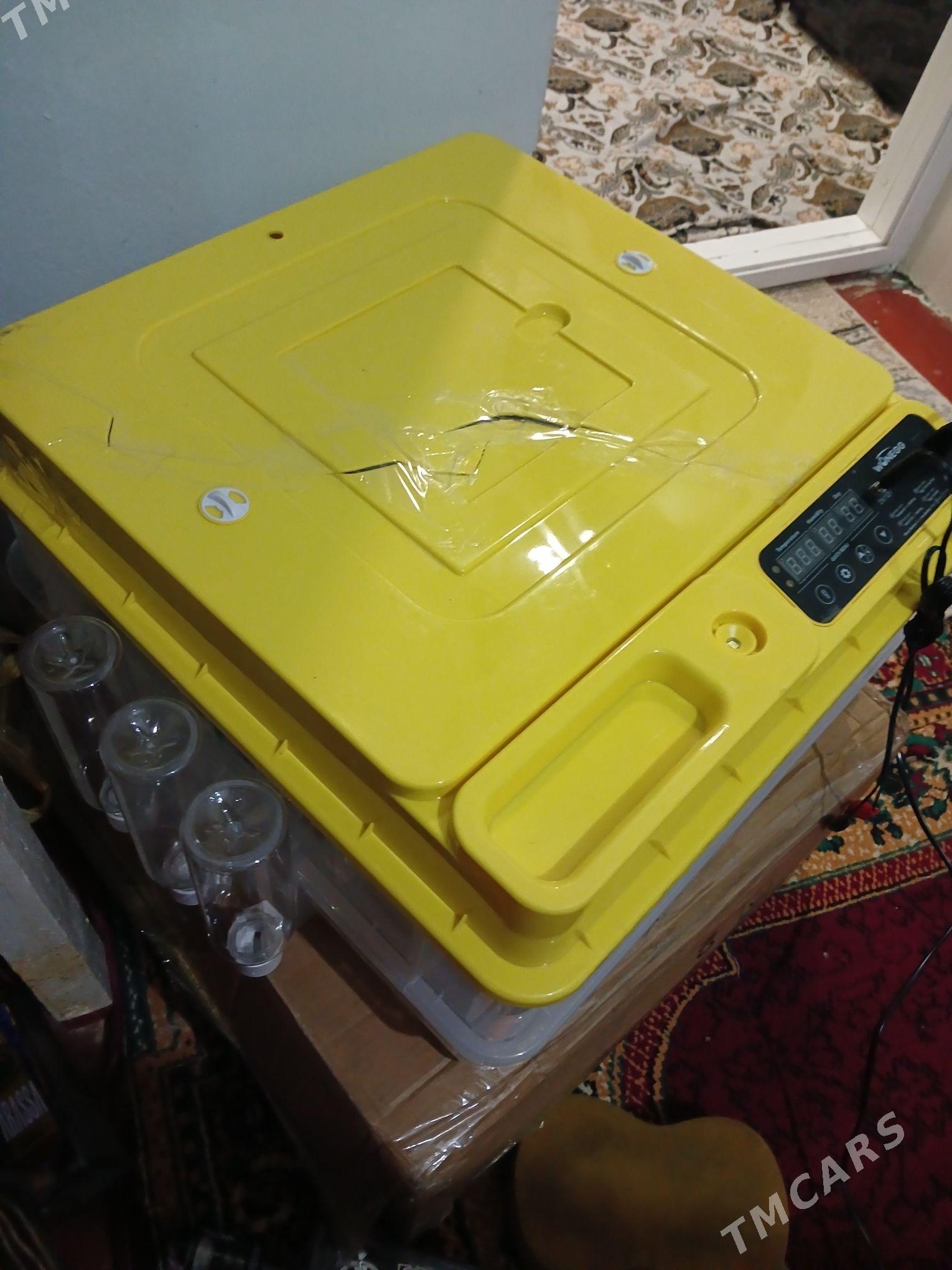 inkubator 128 yumyrtgalyk - Мары - img 1