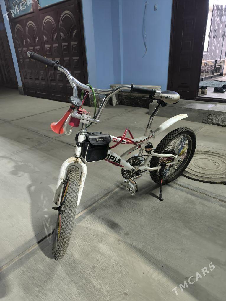 olympia velik - Daşoguz - img 1