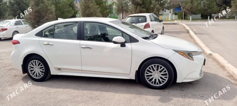 Toyota Corolla 2021 - 233 000 TMT - Ашхабад - img 1
