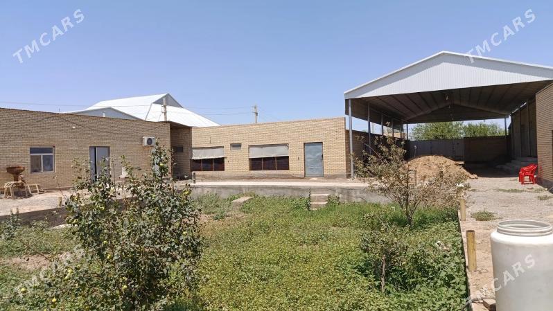 yaşayyş jay ferma ba - Mary - img 1