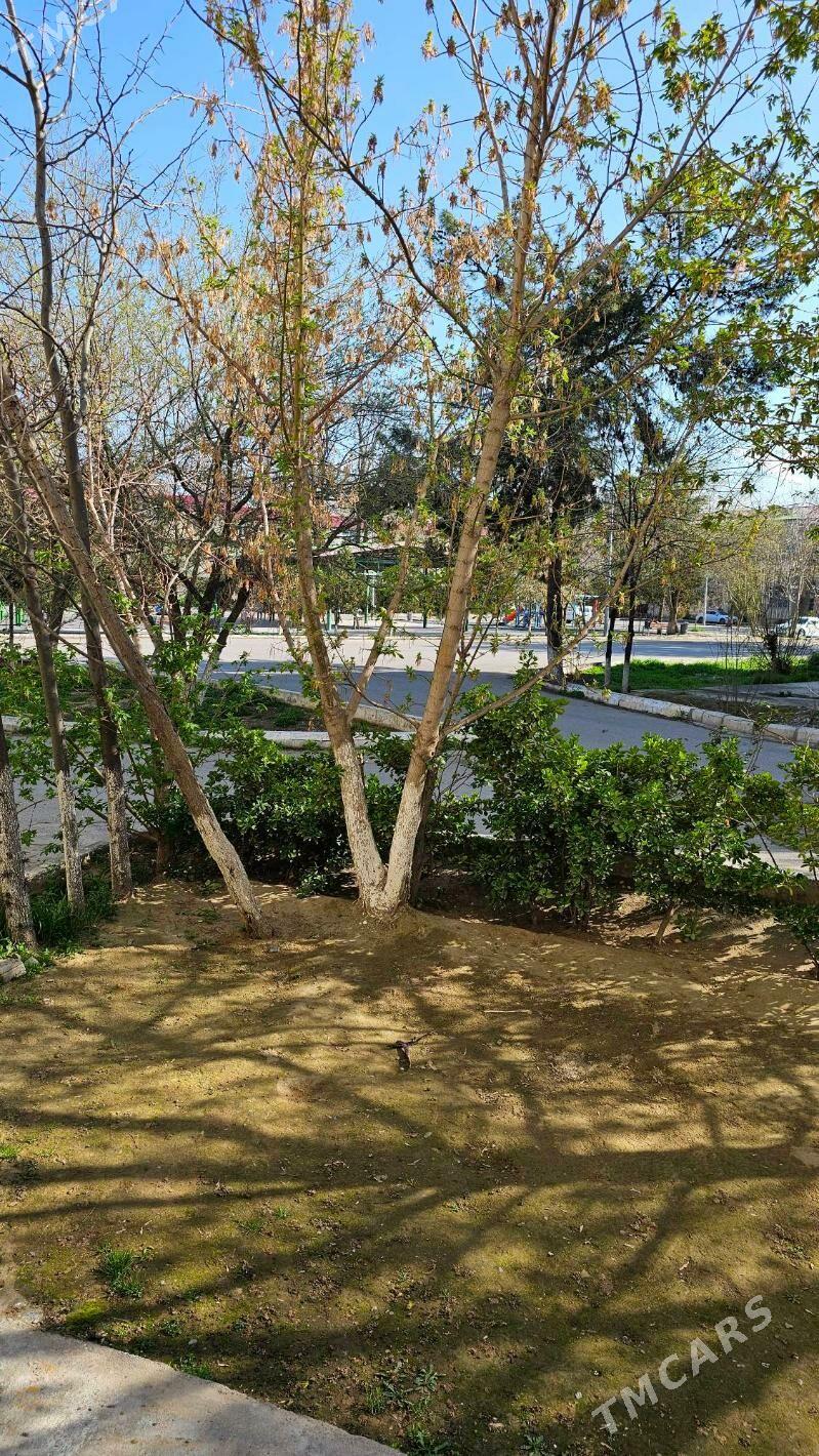 Şewçenko Repina 2-komnat Dwor - 1 мкр - img 1