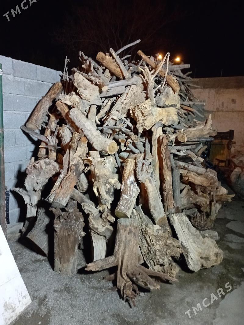 Odun - Aşgabat - img 1