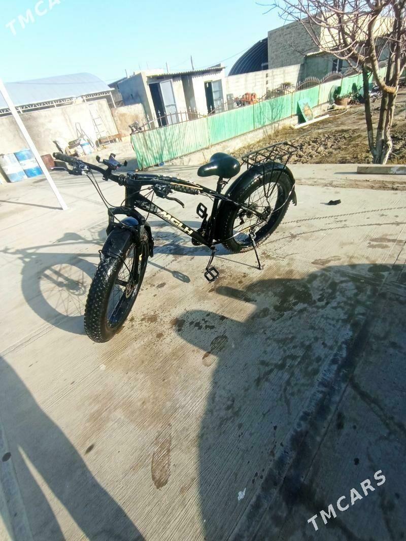 tigir MGLH - Bäherden - img 1