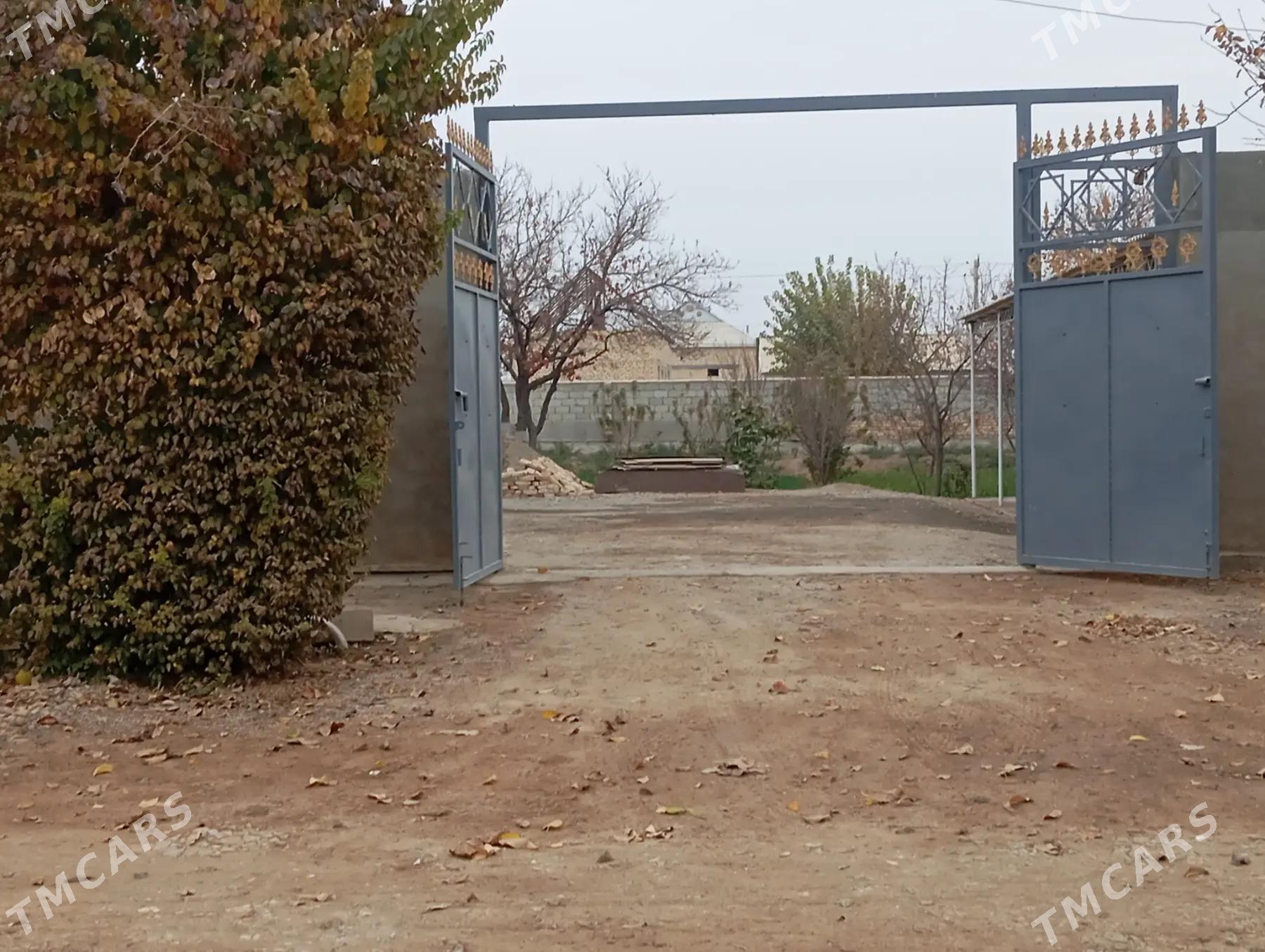 satlyk jay - Теджен - img 1