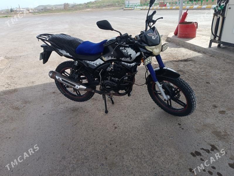 Fekon FK150-8G 2014 - 24 000 TMT - Ýolöten - img 1