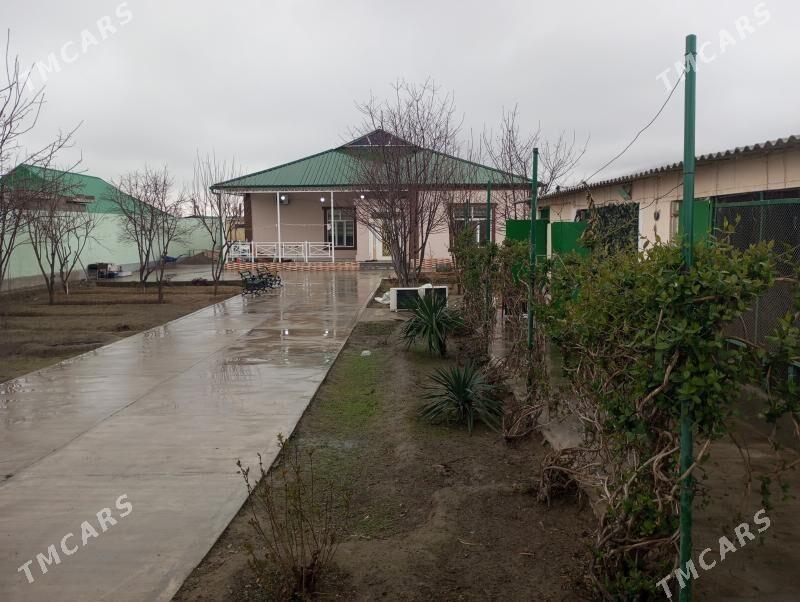 Daşgala bagyr - Ашхабад - img 1