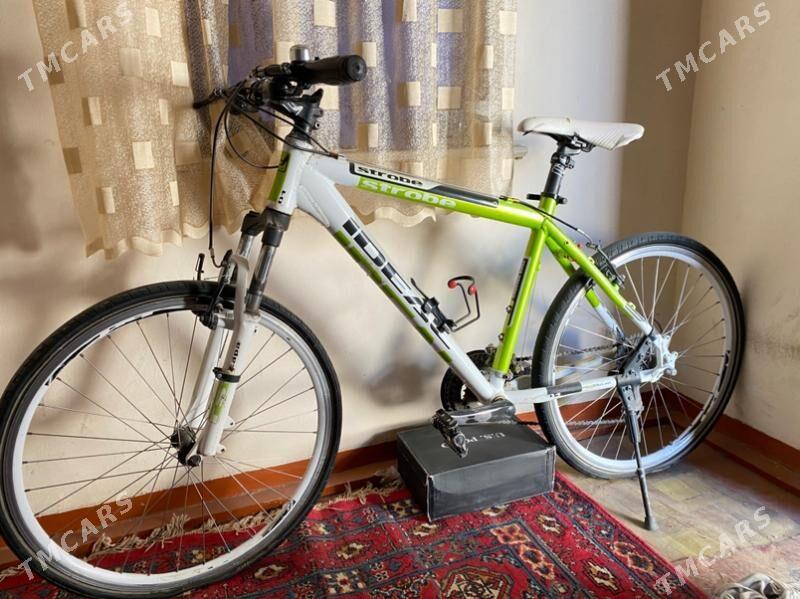 tigir - Мары - img 1