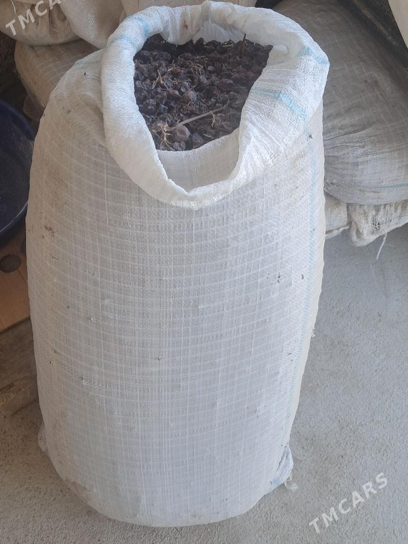 Kişmiş - Гёкдепе - img 1