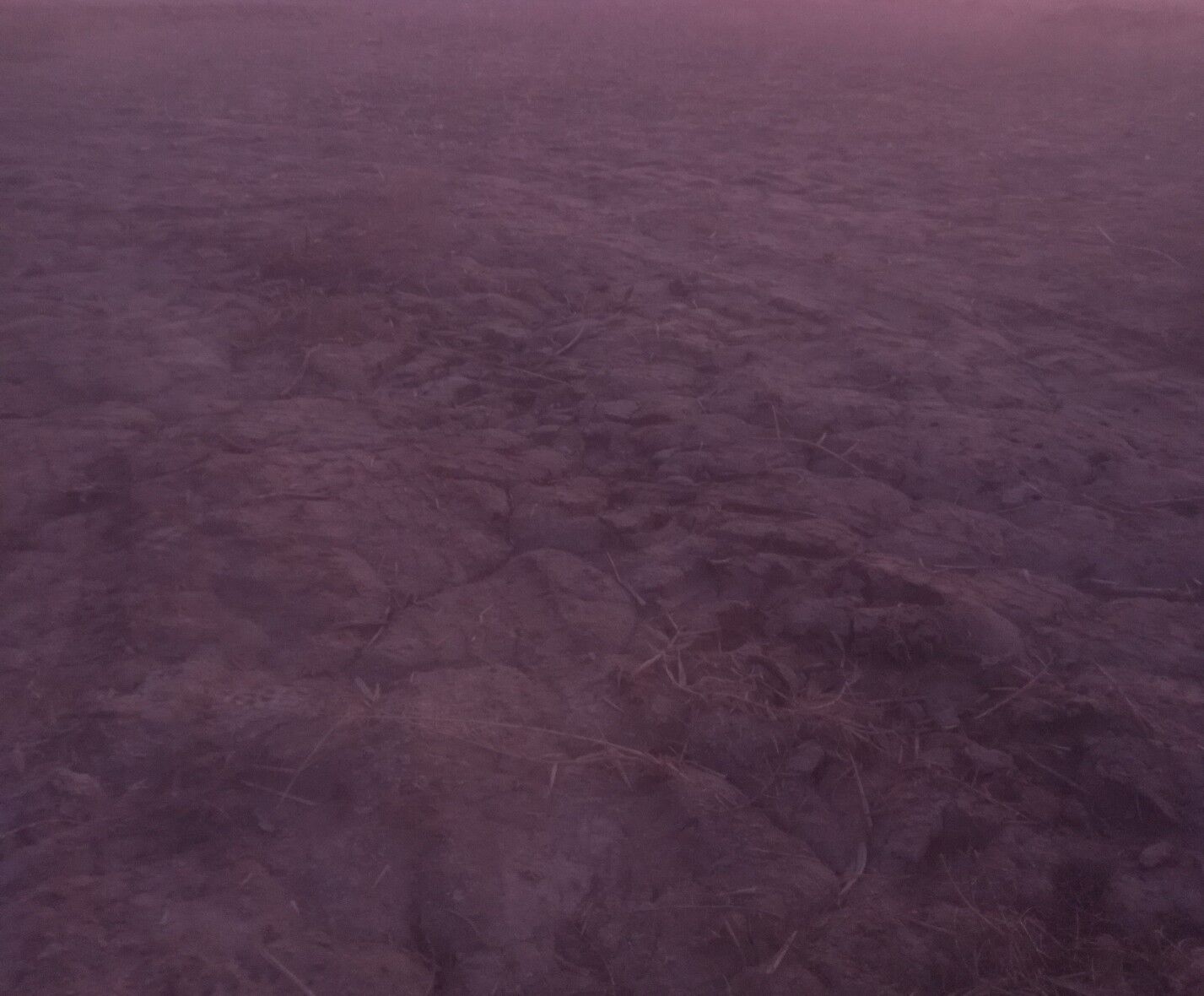 Mellek yer - Görogly (Tagta) - img 1