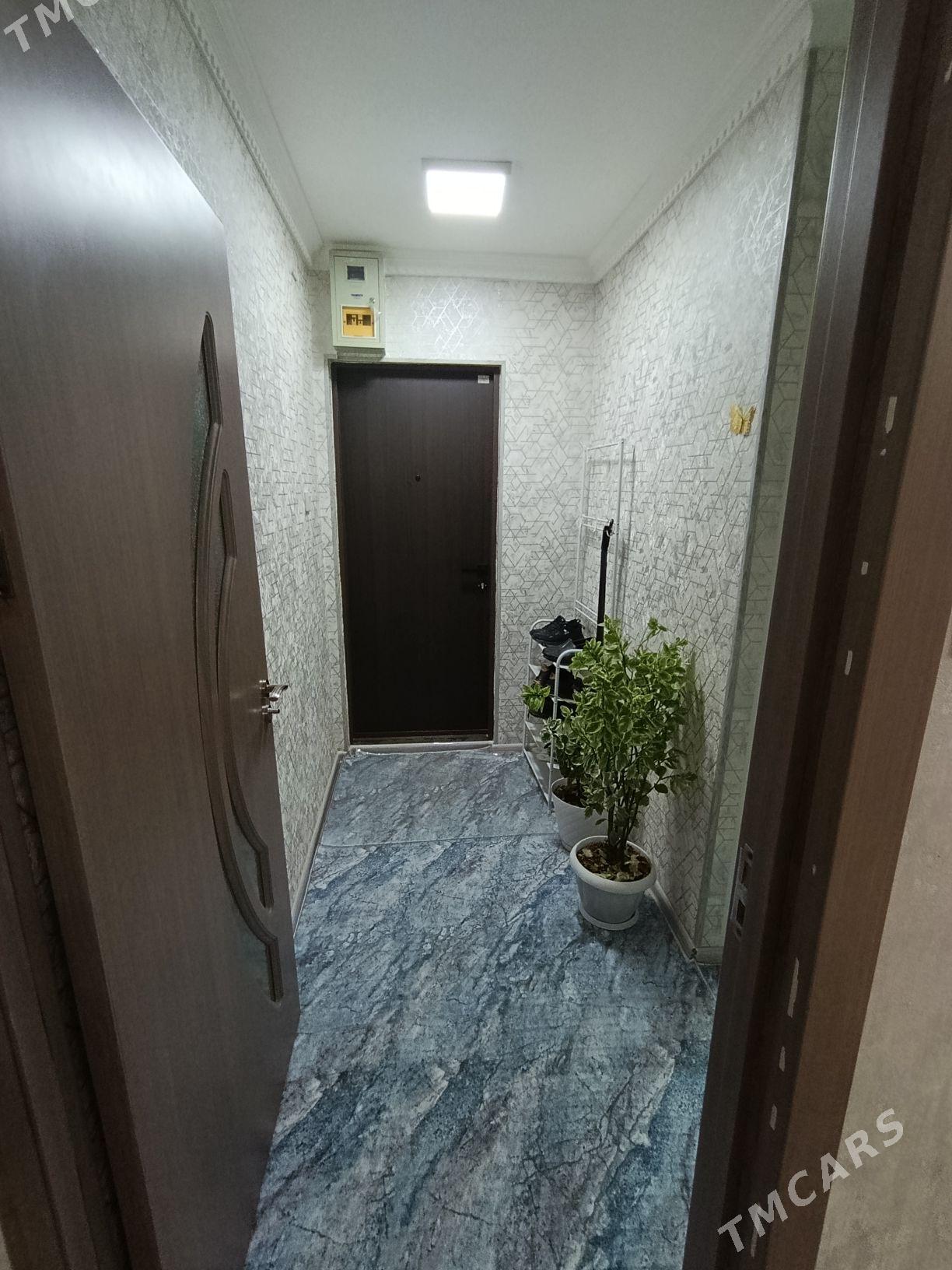 Satlyk jay - Мары - img 1