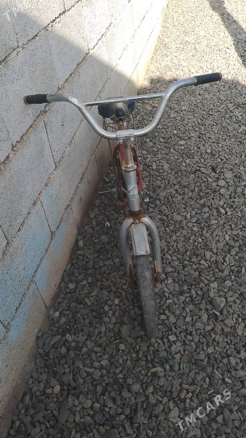 Çaga tigir - Бахарден - img 1