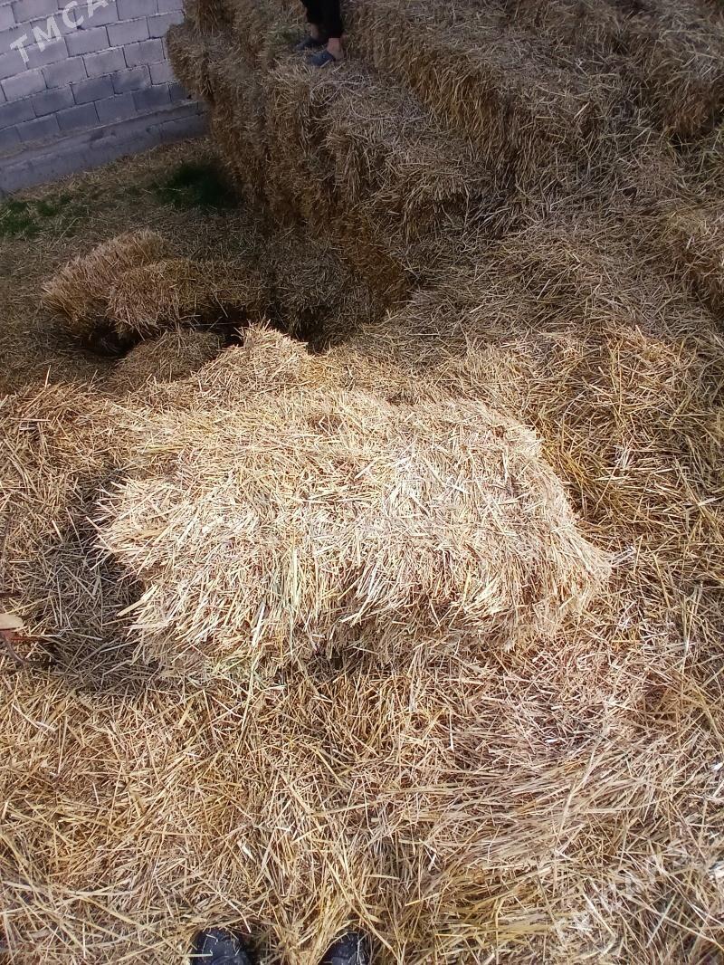 saman pres - Гёкдепе - img 1