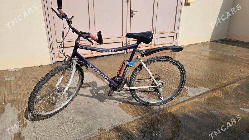 welosopet - Aşgabat - img 1