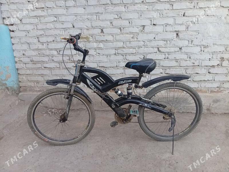 Welik Tigir - Дашогуз - img 1