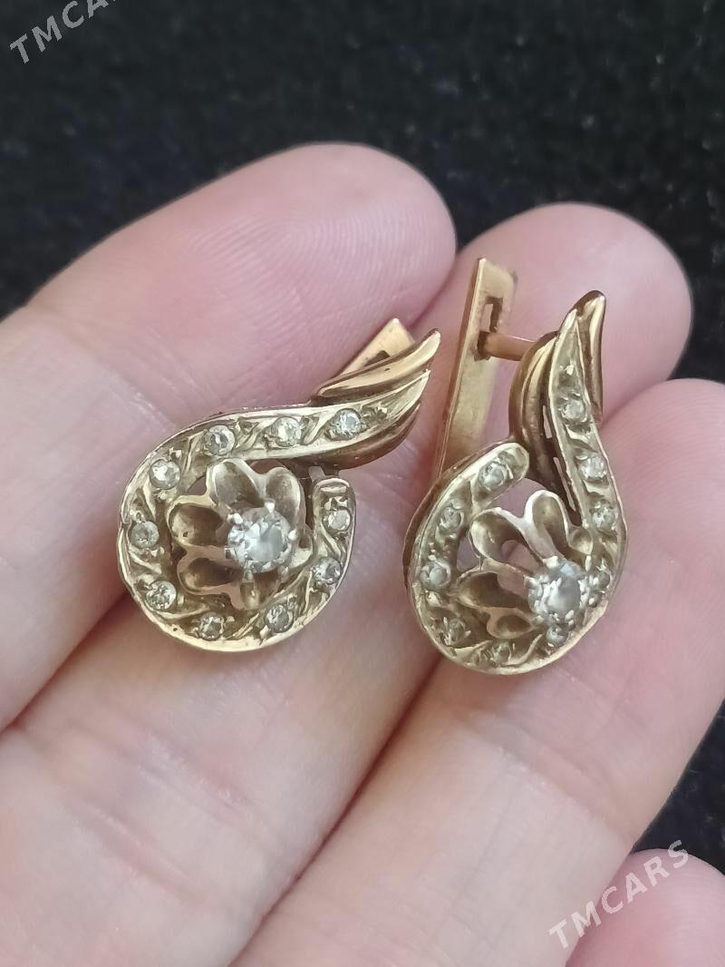 gyzyl gadymy skripka - Aşgabat - img 1