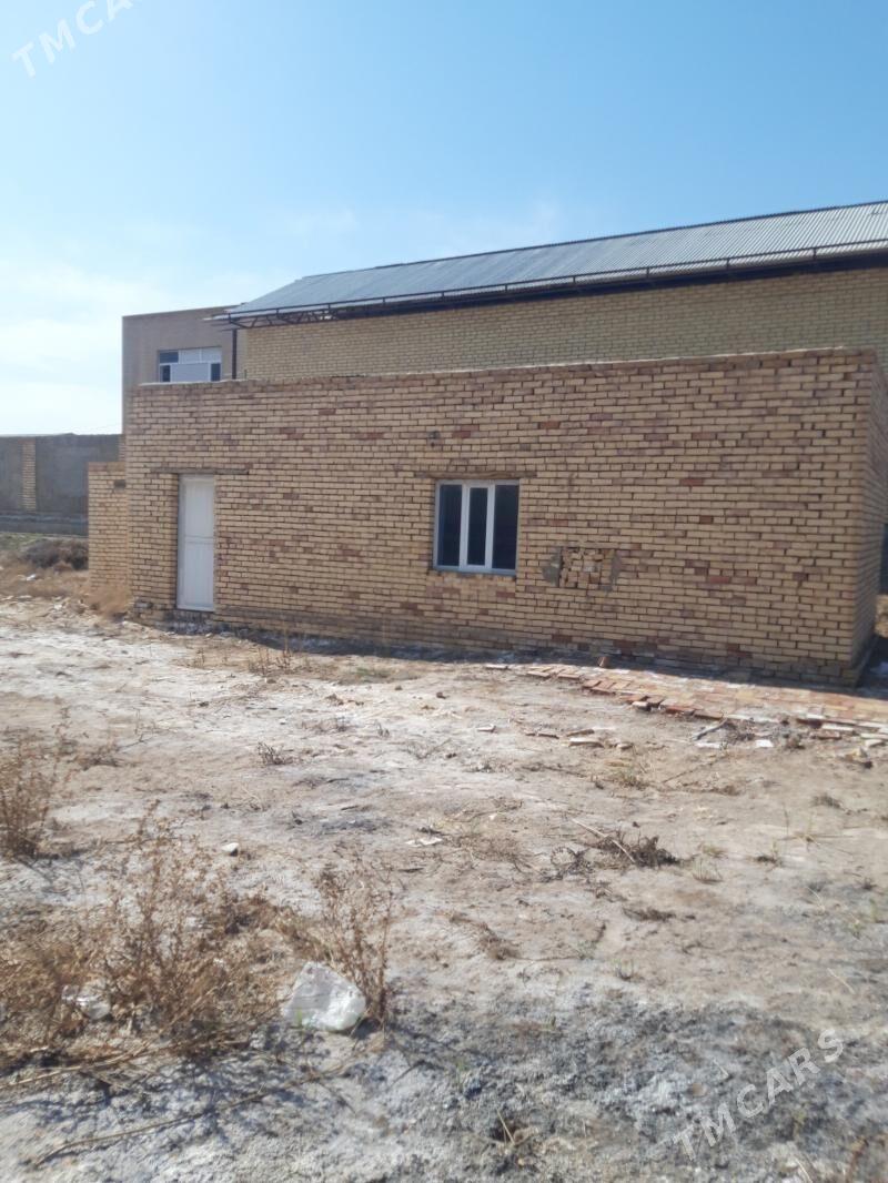 sarlyk 16 mellek jaý - Mary - img 1