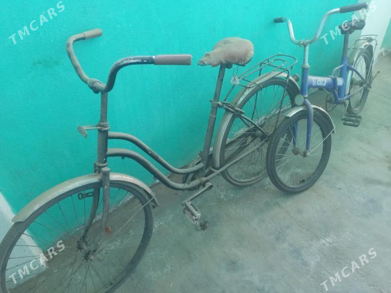 tigyr - Gökje - img 1