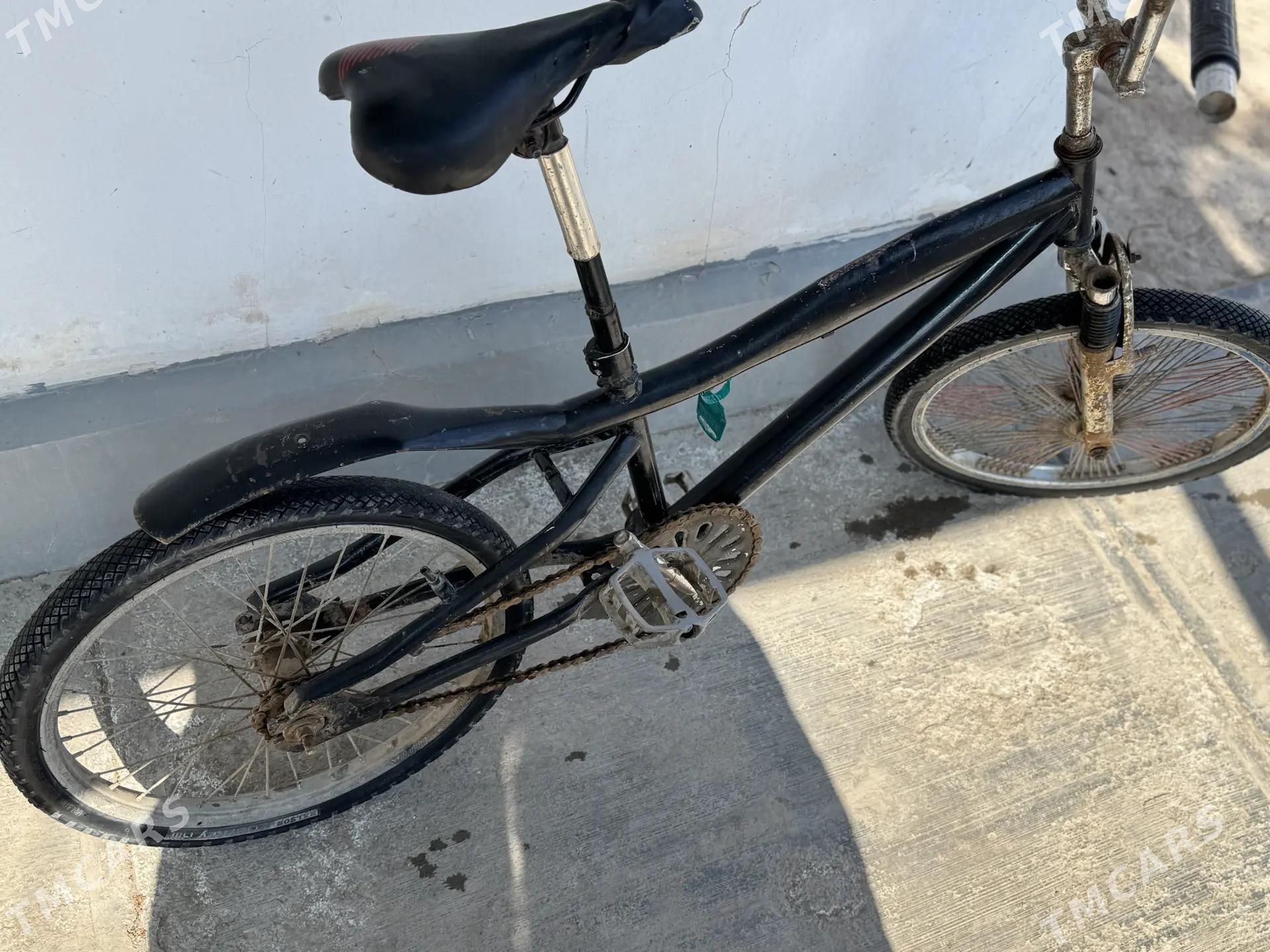 Tigir - Boldumsaz - img 1