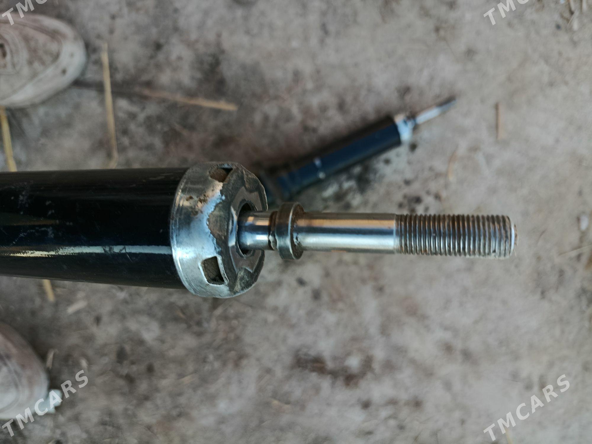 Amyssatr - Görogly (Tagta) - img 1