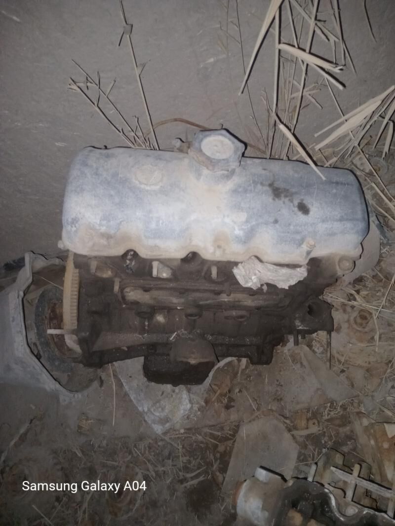 Masguwic mator 600 TMT - Boldumsaz - img 1