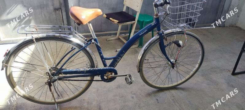 tigir - Анев - img 1