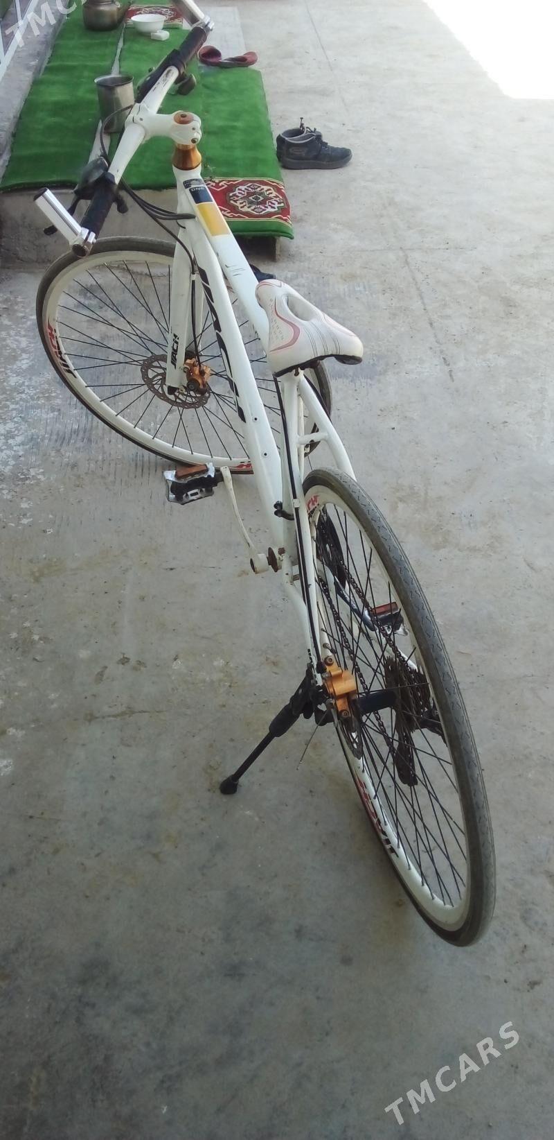 tigir - Гёкдепе - img 1