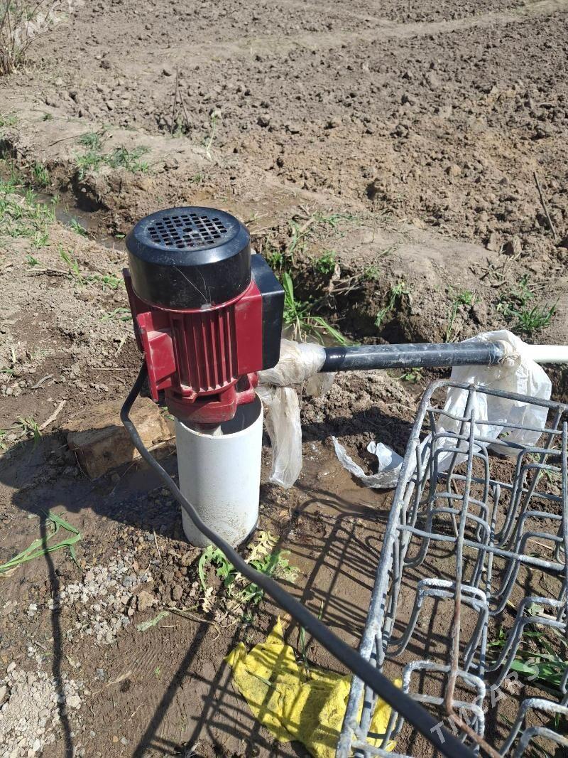 60 lyk Nasos - Мары - img 1