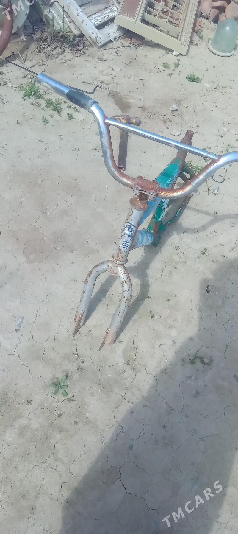 tig - Bäherden - img 1