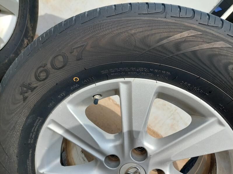 Diska 5 500 TMT - Murgap - img 1