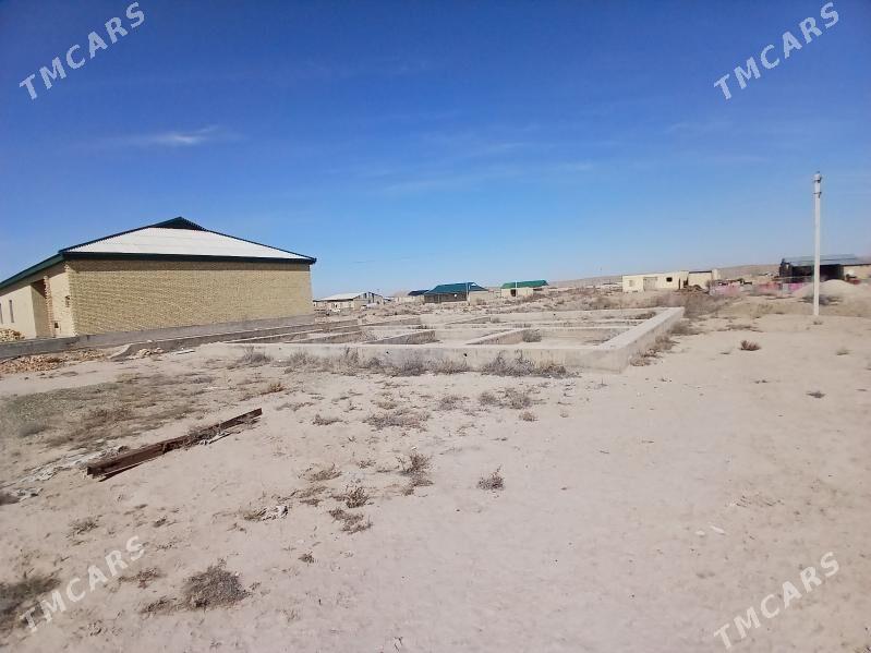 Satlyk mellek - Farap - img 1