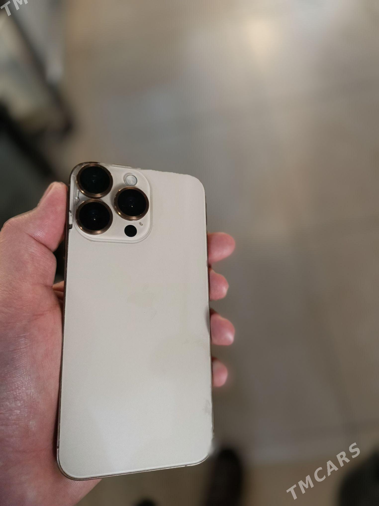 iPhone XS 16 pro owrulen - Гаудан "Б" - img 1