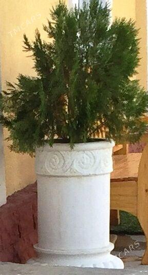 2 Декоративных Кашпо - Hitrowka - img 1