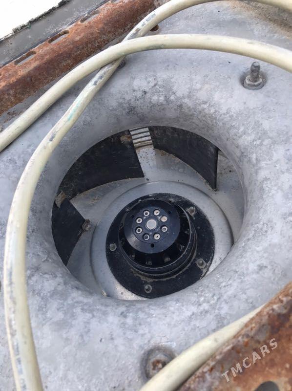 witicka - Ашхабад - img 1