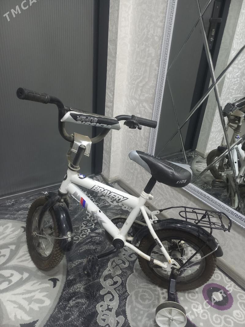 Tigir - Гаудан "В" - img 1